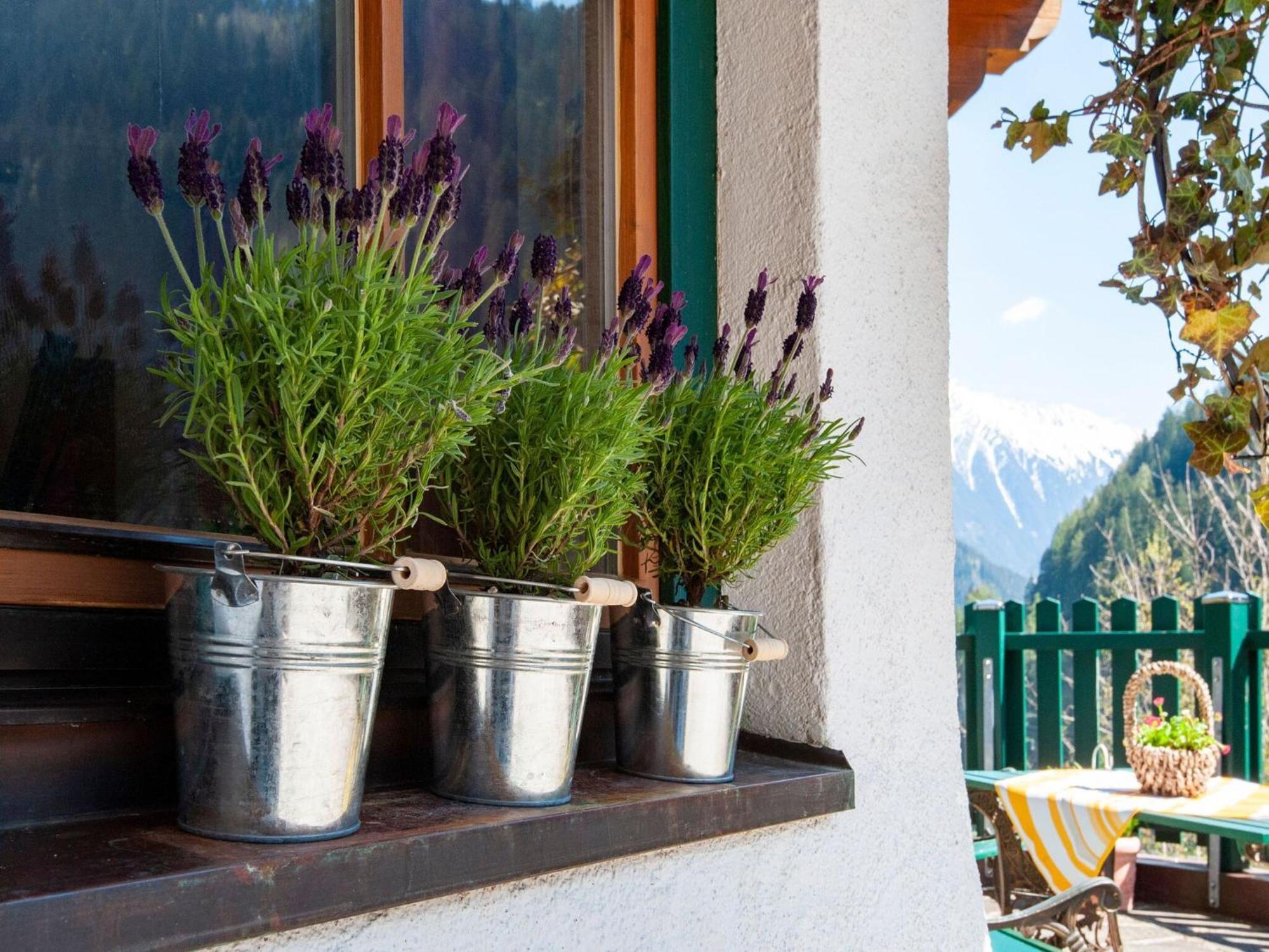 Alluring Apartment in Mayrhofen near Forest Exterior foto